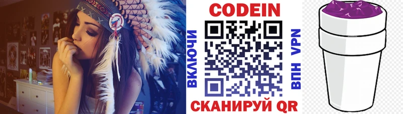 Купить закладки  Петровск-Забайкальский  Codein напиток Lean (лин) 