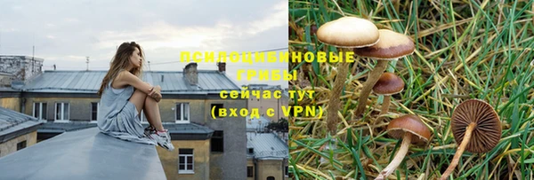 хмурый Медногорск