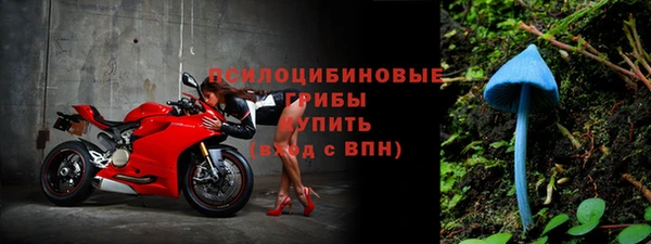 ГАЛЛЮЦИНОГЕННЫЕ ГРИБЫ Мегион