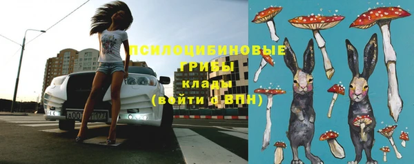 хмурый Медногорск