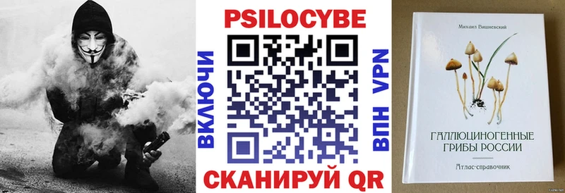 Купить закладки  Петровск-Забайкальский  Псилоцибиновые грибы мицелий 